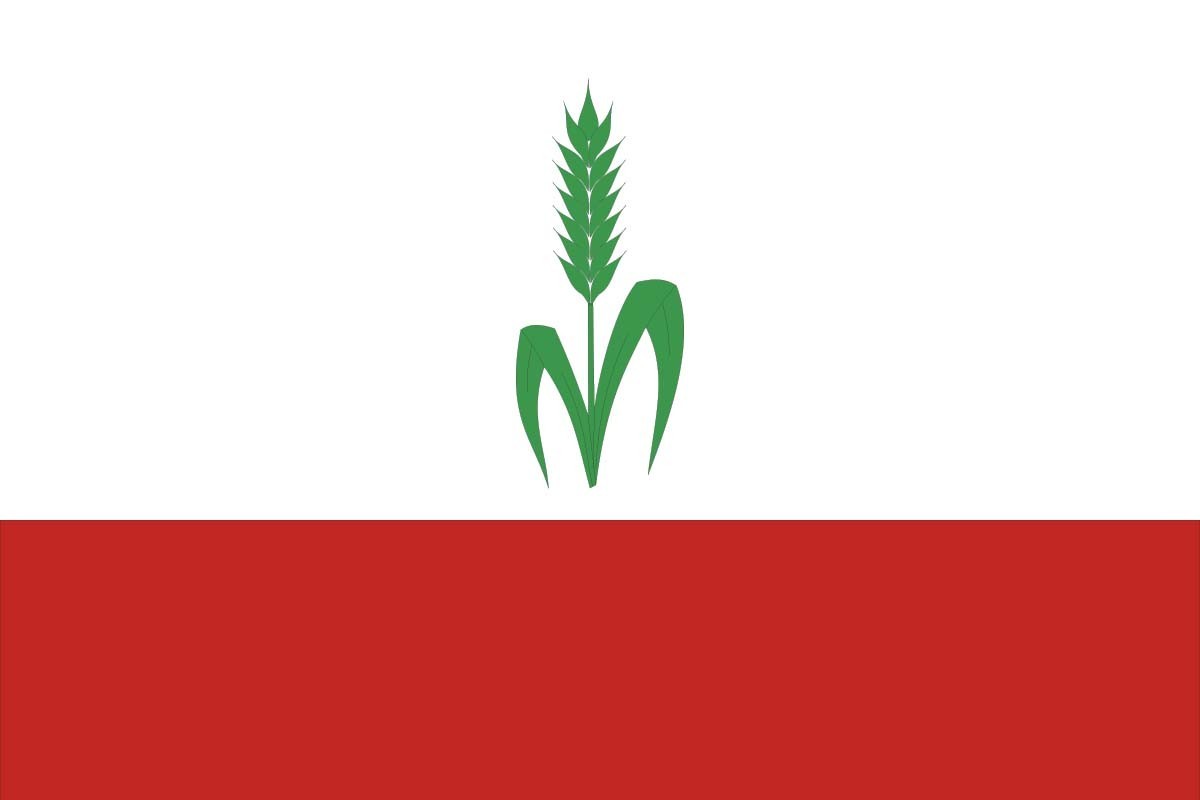 Bandera de Villasequilla de alta calidad para exterior