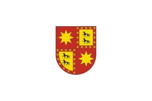 Bandera de Abáigar de alta calidad para exterior 123