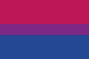 Bandera Bisexual 123