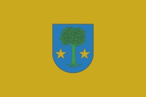 Bandera de Allín de alta calidad para exterior 123