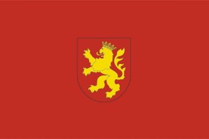 Bandera de Anue de alta calidad para exterior 123