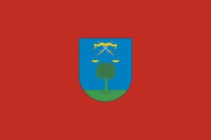 Bandera de Arce de alta calidad para exterior 123