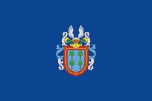 Bandera de Barañain de alta calidad para exterior 123