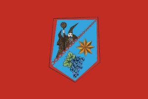 Bandera de Bargota de alta calidad para exterior 123