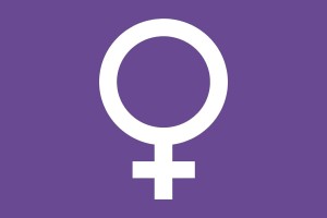 Bandera feminista 123