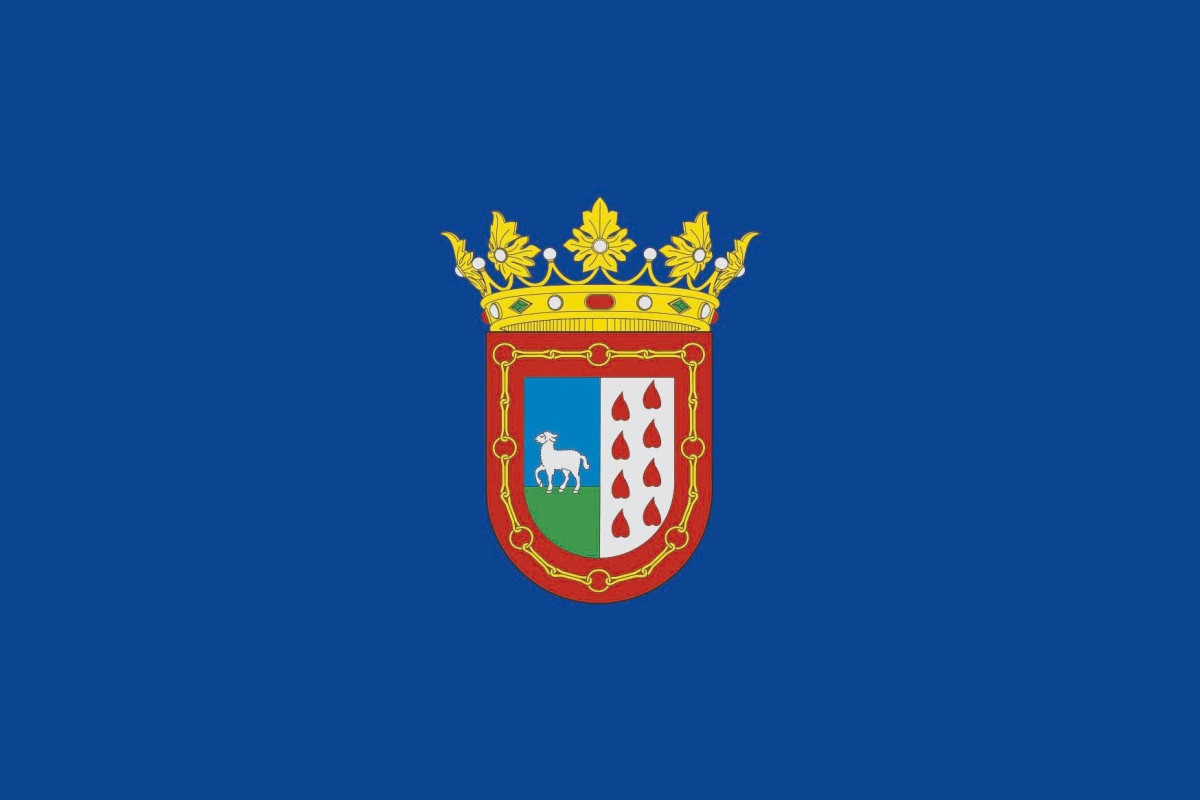 Bandera de Berriozar de alta calidad para exterior Bandera de Berriozar de alta calidad para exterior