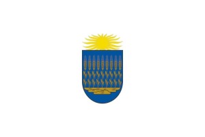 Bandera de Cendea de Olza de alta calidad para exterior 123