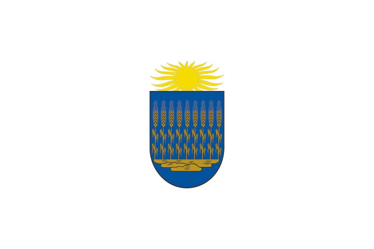 Bandera de Cendea de Olza de alta calidad para exterior Bandera de Cendea de Olza de alta calidad para exterior