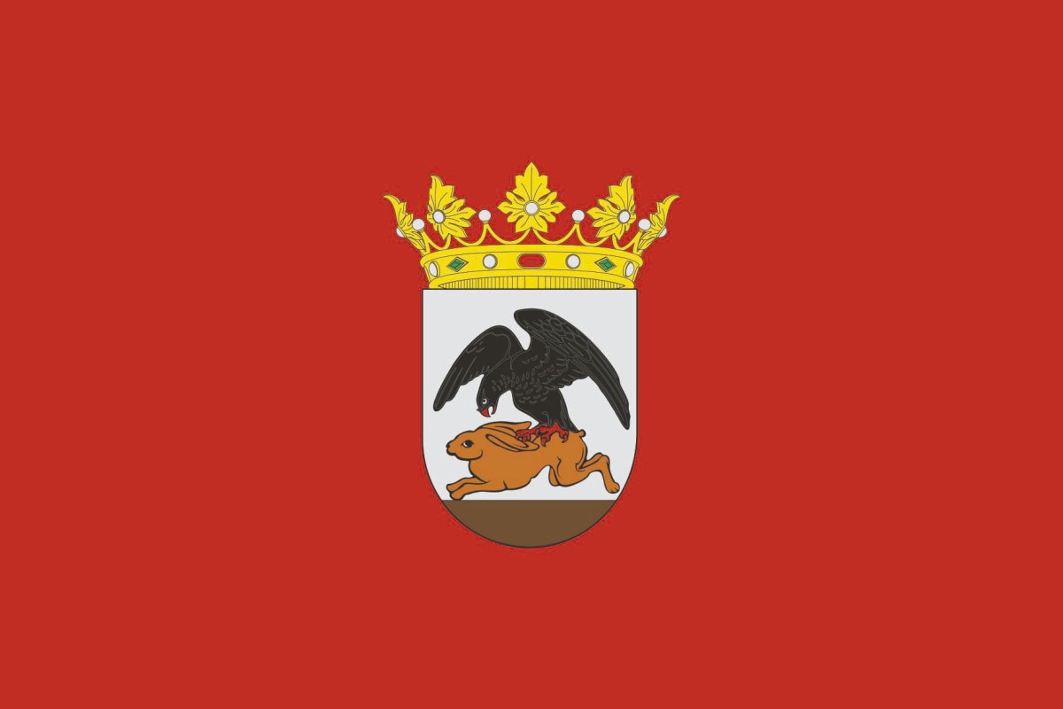Bandera de Corella de alta calidad para exterior Bandera de Corella de alta calidad para exterior