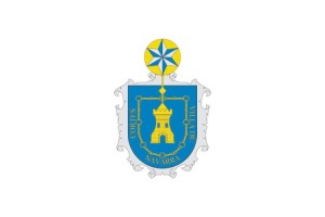 Bandera de Cortes de alta calidad para exterior 123