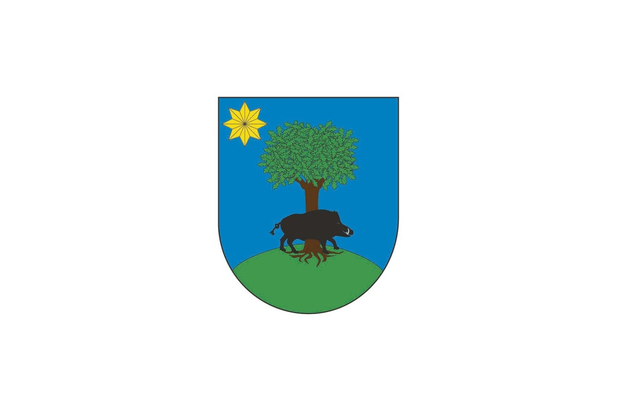 Bandera de Doneztebe de alta calidad para exterior Bandera de Doneztebe de alta calidad para exterior