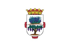 Bandera de Fitero de alta calidad para exterior 123