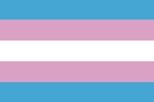 Bandera transexual 123