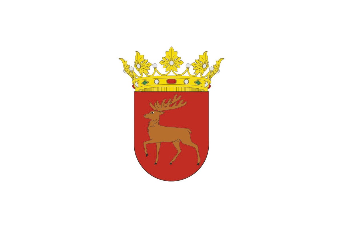 Bandera de Goizueta de alta calidad para exterior Bandera de Goizueta de alta calidad para exterior