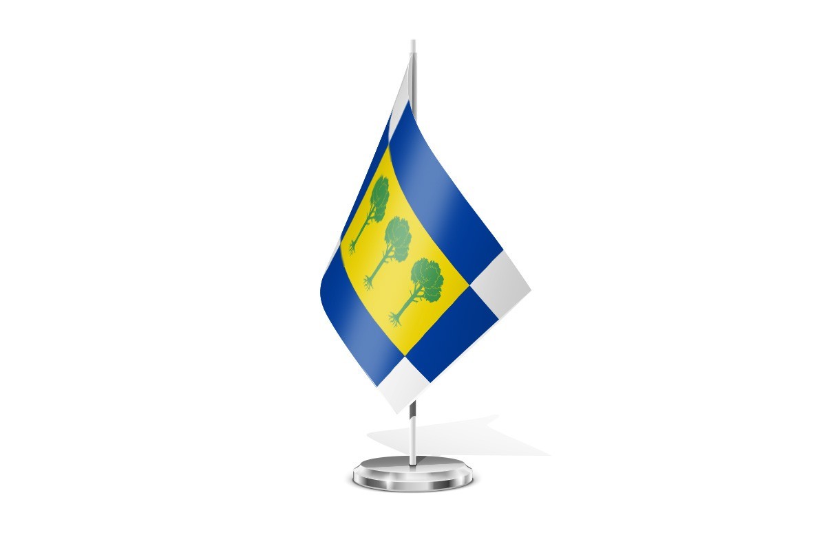 Bandera de mesa de San Martín y Mudrián