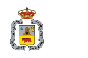 Bandera de mesa de Borja