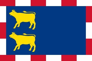 Bandera de mesa de Novillas