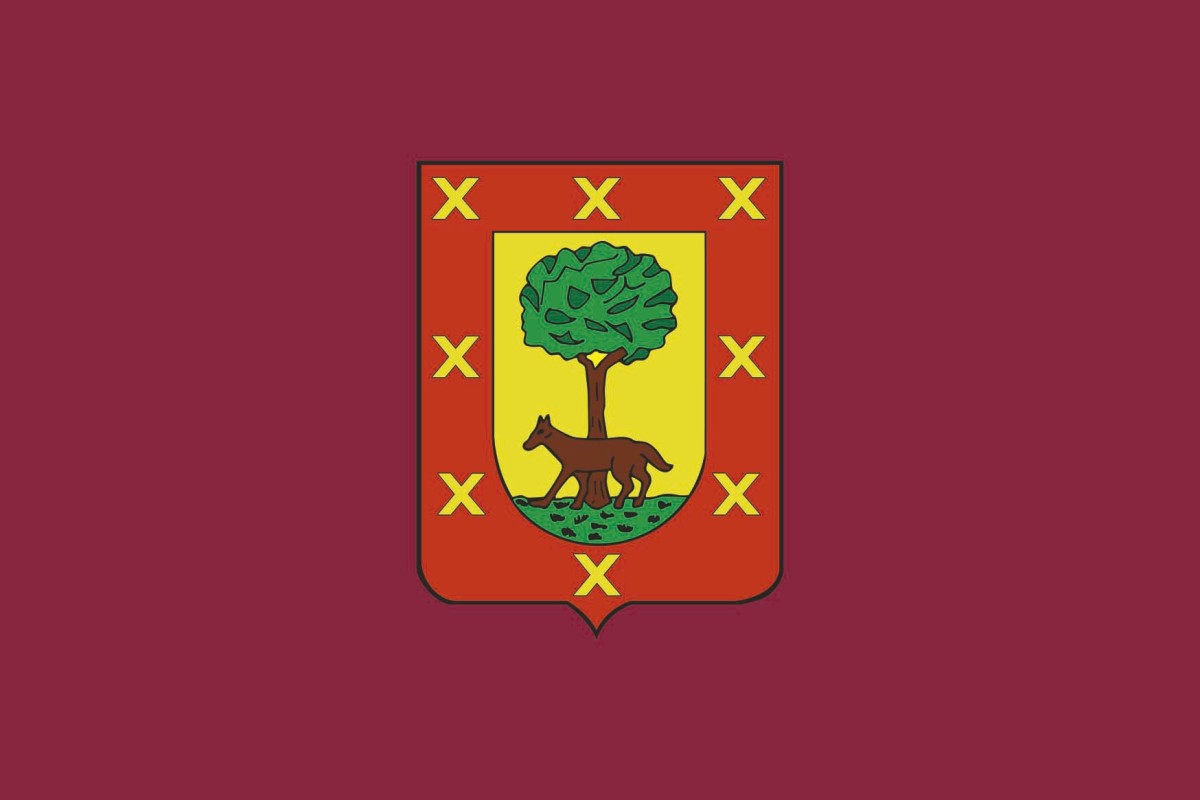 Bandera de Leitza de alta calidad para exterior Bandera de Leitza de alta calidad para exterior