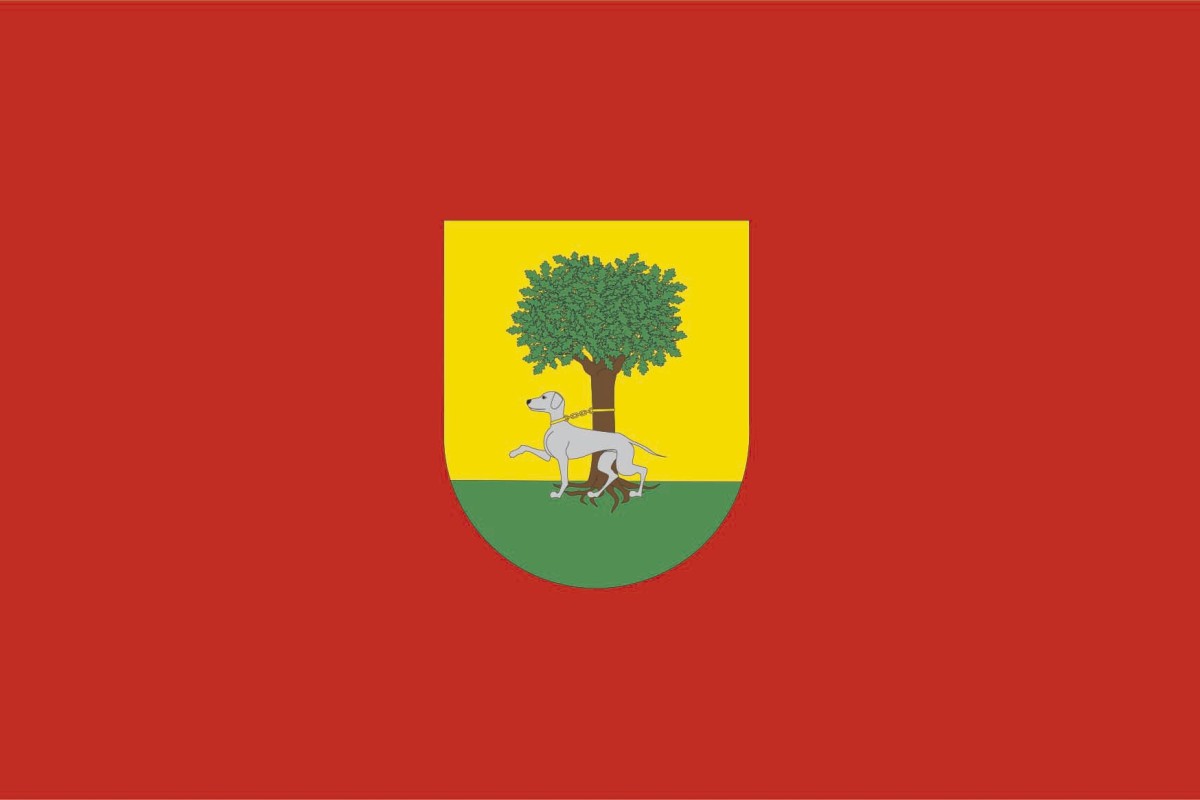 Bandera de Leoz de alta calidad para exterior Bandera de Leoz de alta calidad para exterior