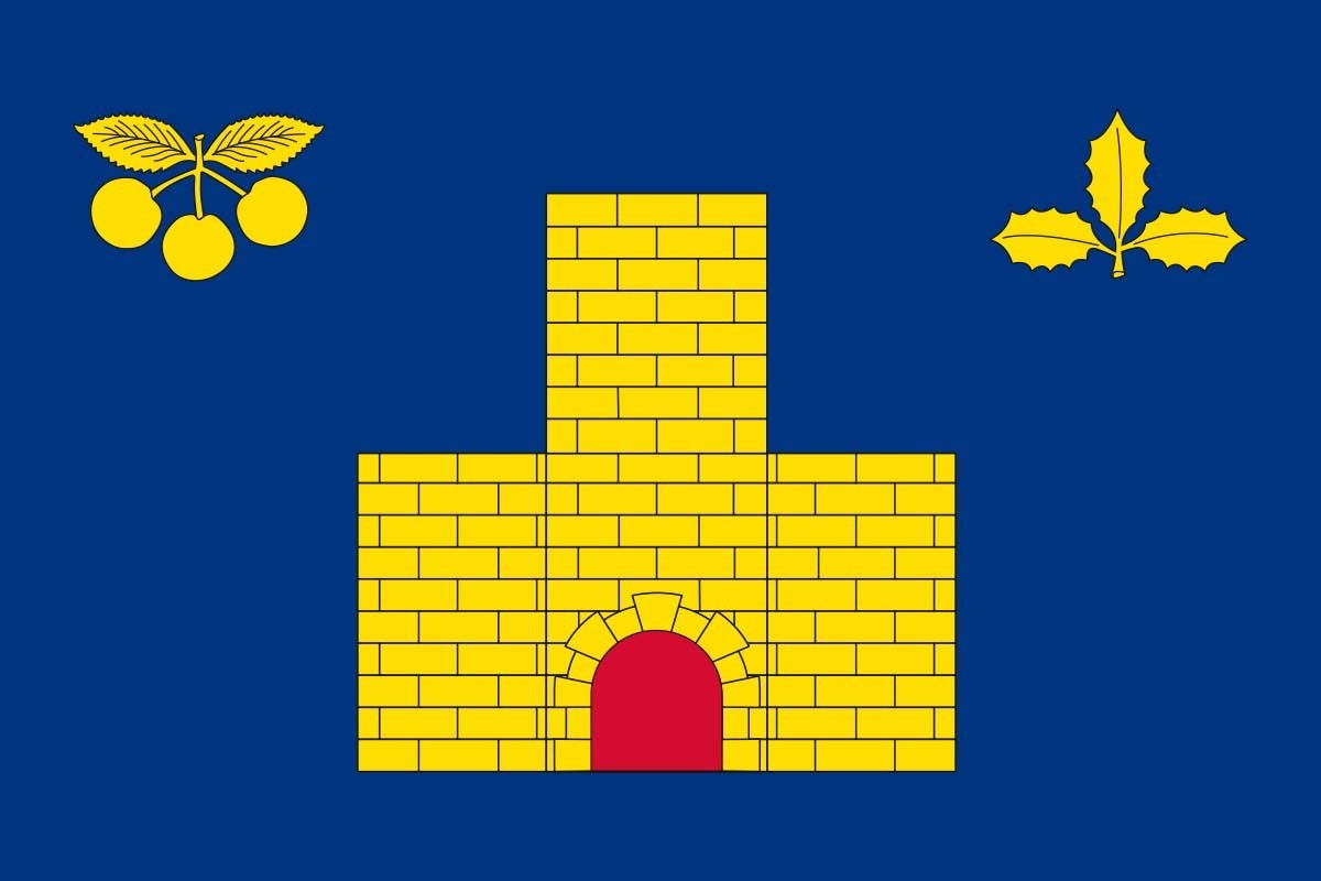 Bandera de mesa de Vilueña