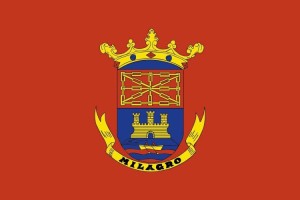 Bandera de Milagro de alta calidad para exterior 123