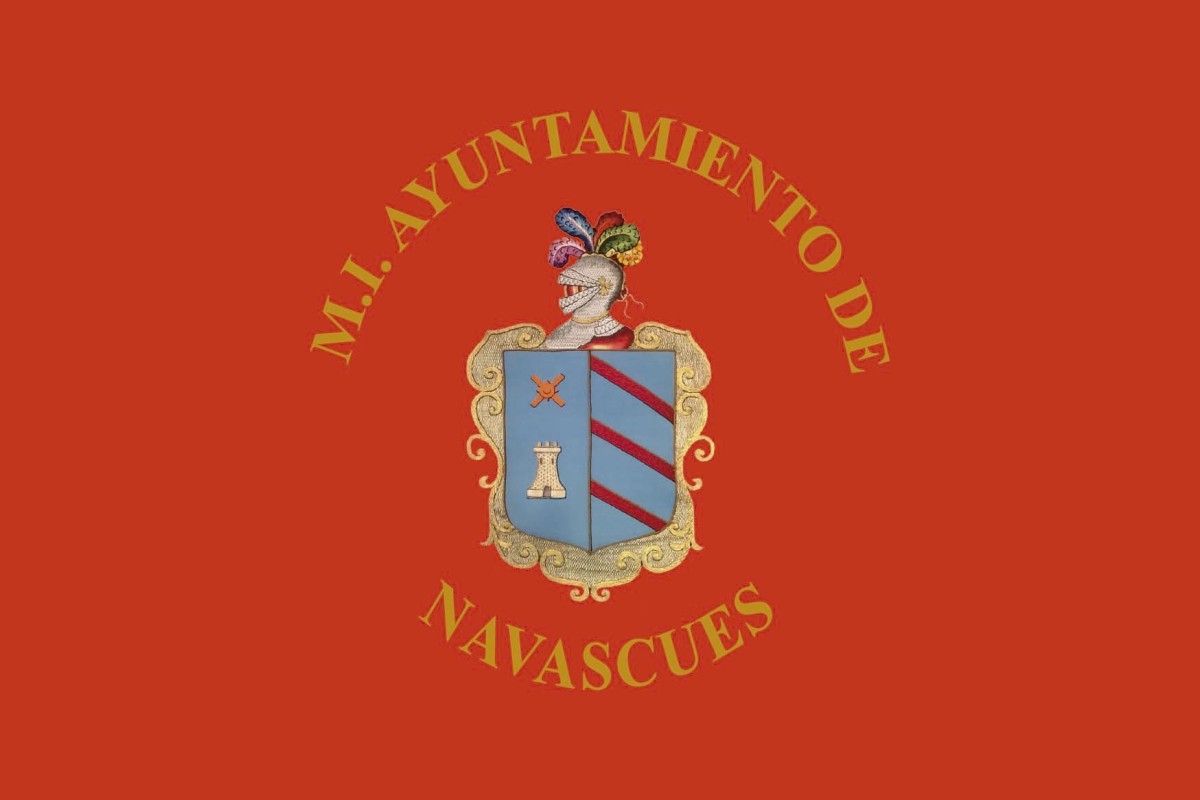 Bandera de Navascués de alta calidad para exterior Bandera de Navascués de alta calidad para exterior