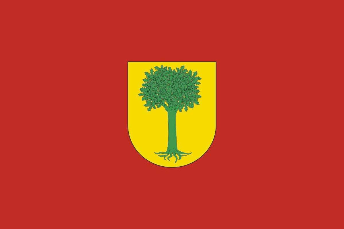 Bandera de Olóriz de alta calidad para exterior Bandera de Olóriz de alta calidad para exterior