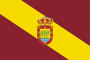 Bandera de mesa de Bercial de Zapardiel