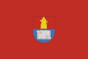 Bandera de Pitillas de alta calidad para exterior 123