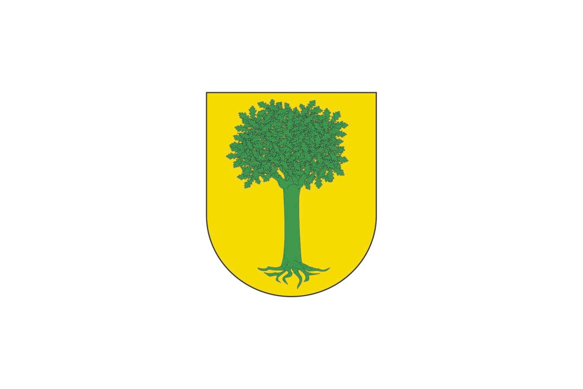 Bandera de Saldías de alta calidad para exterior Bandera de Saldías de alta calidad para exterior