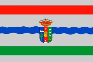 Bandera de mesa de Pineda de la Sierra