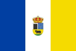 Bandera de mesa de Pizarral