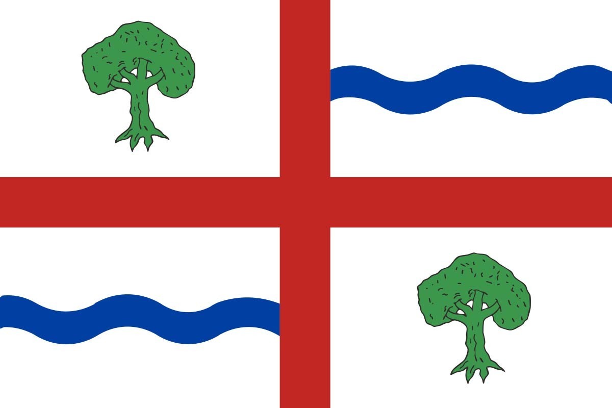 Bandera de mesa de Salce