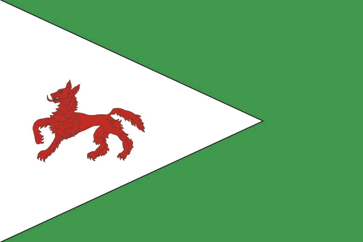 Bandera de Blancos de alta calidad para exterior Bandera de Blancos de alta calidad para exterior