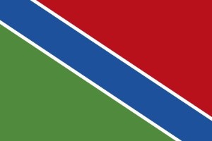 Bandera de mesa de Saelices de Mayorga