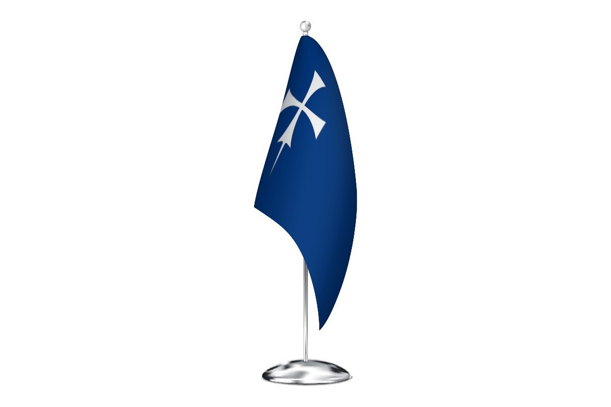 Bandera de despacho de Pueyo de Araguás de alta calidad