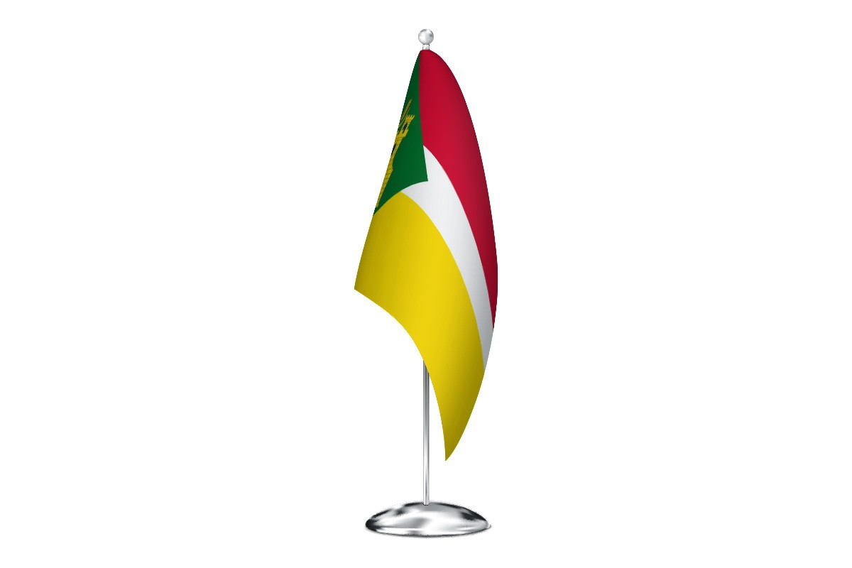 Bandera de despacho de Lituénigo de alta calidad