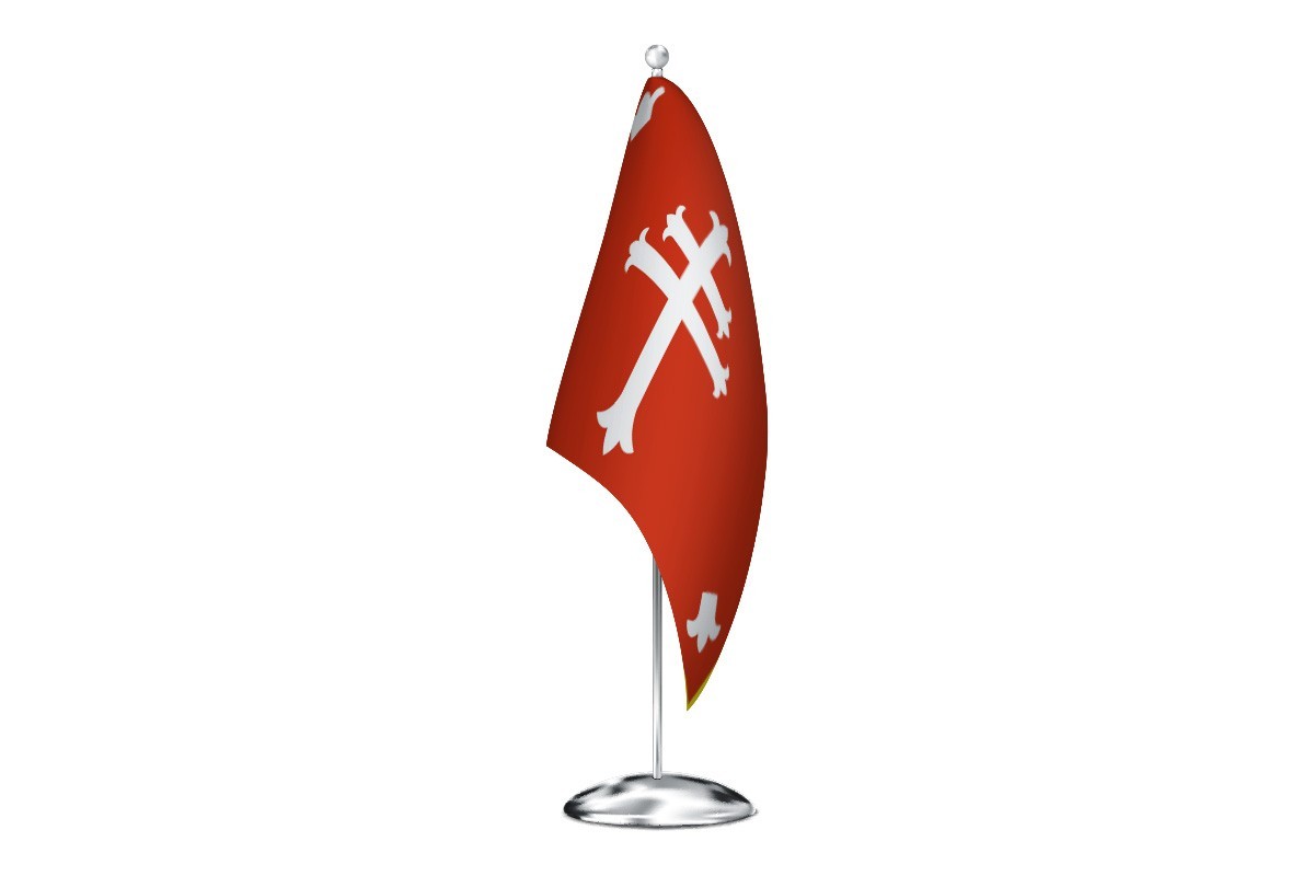 Bandera de despacho de Nuévalos de alta calidad
