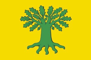 Bandera de Carballo de alta calidad para exterior 123