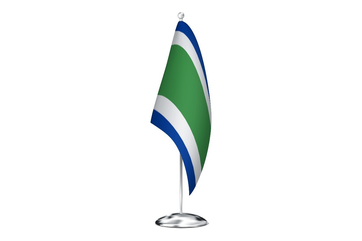 Bandera de despacho de Canalejas del Arroyo de alta calidad