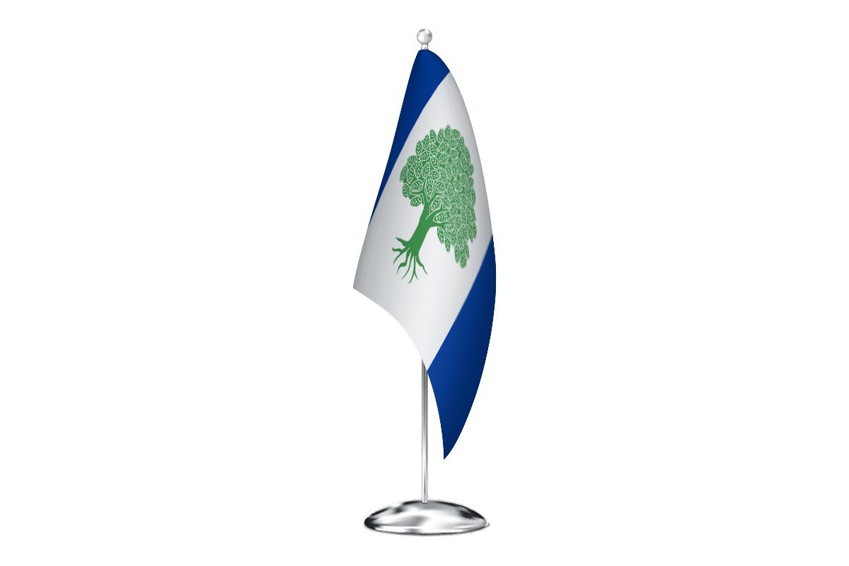 Bandera de despacho de Olmeda de Cobeta de alta calidad