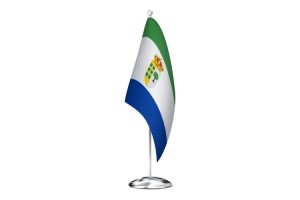 Bandera de despacho de Buenaventura de alta calidad 123
