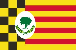 Bandera de despacho de Alcampell de alta calidad Bandera de despacho de Alcampell de alta calidad