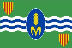 Bandera de despacho de Vencillón de alta calidad