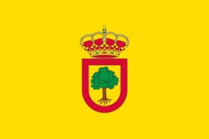 Bandera de despacho de Sabiñán de alta calidad