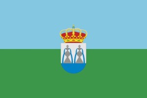 Bandera de despacho de Fuentes de alta calidad