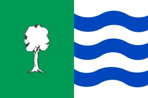 Bandera de despacho de Olmedilla de Alarcón de alta calidad