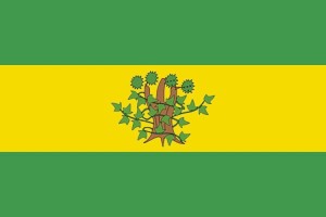 Bandera de Oroso de alta calidad para exterior 123