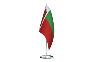 Bandera de despacho de Solosancho de alta calidad 123