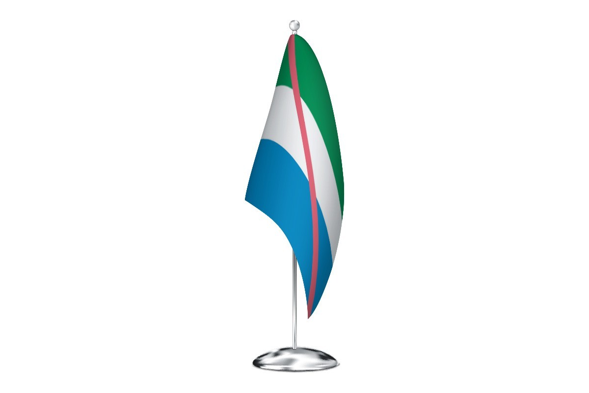 Bandera de despacho de Zapardiel de la Cañada de alta calidad